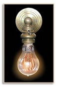 Image of F1920-4 Quad Loop 60 Watt Reproduction Vintage Style Light Bulb