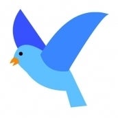 Image of Mama Bird Source Code