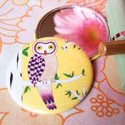 Image of Mysterious Owl Pocket Mirror