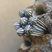 Image of Pods Ring