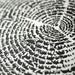 Image of Tree of Life <br><span style="font-weight:normal"><em>by Gary, Aaron & Khairul</em></span>