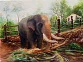 Image of Elephant Greeting Card