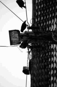 Image of NNM 06: The Blind/The Trouble Is... - Split