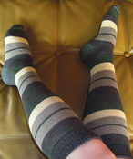 Image of Coyote Knee Socks