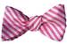 Image of Candy Shop Bow tie