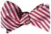 Image of Kappa Kane Bow Tie