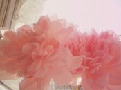 Image of deep flower