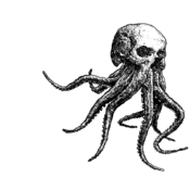 Image of octoskull tshirts