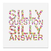 Image of Silly Question Silly Answer