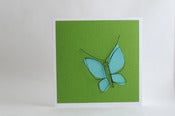 Image of butterfly
