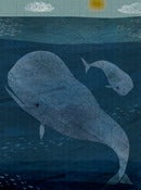Image of Whales