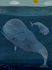 Image of Whales