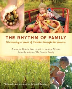 Image of The Rhythm of Family - by Amanda Blake Soule