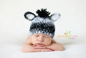 Image of Funky Zebra