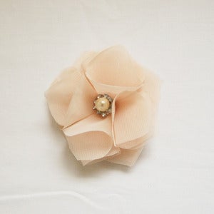 Image of Chiffon Flower