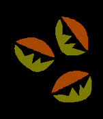 Image of Brazil Sul de Minas Decaf MWP - slow poke!
