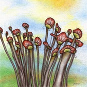 Image of Cluster - Mushroom Art