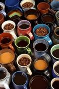 Image of Panama Finca La Florentina - easy