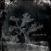 Image of The Calm Blue Sea - The Calm Blue Sea CD