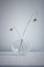 Image of glass.