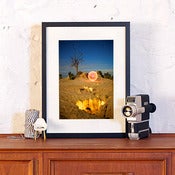 Image of Origins