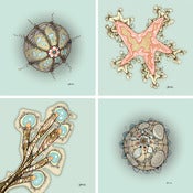 Image of Beachy Beachy Beach… series