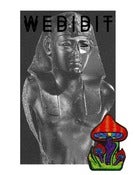 Image of "Mummy w/ Shroom" Poster