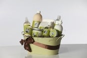 Image of Healthy Start