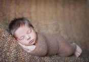 Image of Baby Backdrop - Spice