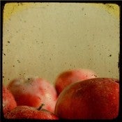 Image of Tim Irving Cider Apples