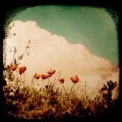Image of Tim Irving Alpine Clouds