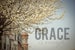 Image of grace is enough.