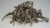 Image of Sage