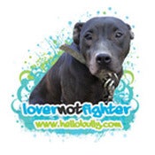 Image of Lover Not Fighter Dog - Teal Graphics