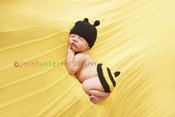 Image of Honey Bee Hat & Tushy Topper