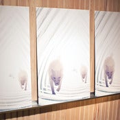 Image of Frostbite Print