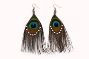 Image of Peacock earrings