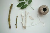 Image of set of twigs