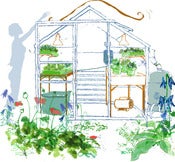 Image of Spring greenhouse