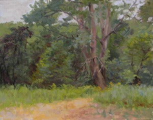 Image of Poplars on the Mississippi River Sandbar