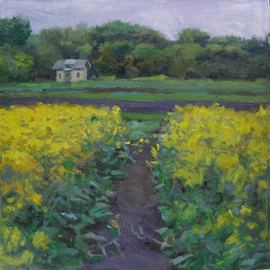 Image of White House, Yellow Fields