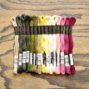 Image of Cosmo Embroidery Floss Palette : Celery & Beets