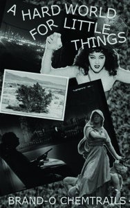 Image of A Hard World For Little Things - Brand-O Chemtrails Poetry Collection