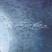 Image of Signed Limited Edition Giclee Art Print Mixed Media Dream Song Bird