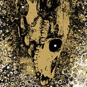 Image of RISE AND FALL - Our Circle Is Visious LP