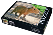 Image of 108A - Baby Caplin Rous
