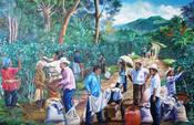 Image of Nicaragua Selva Negra