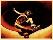Image of Alva Frontside (Red/Blk) by Shepard Fairey