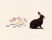 Image of The Irish Hare