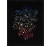 Image of Infinite Tapestry Blacklight Flocked Poster